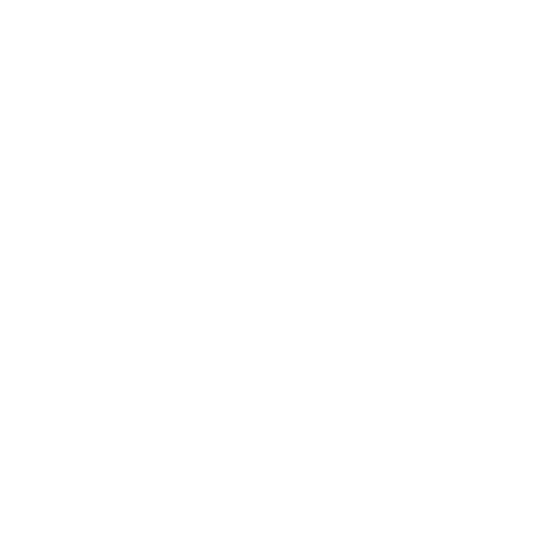 Team PARS Logo Beyaz